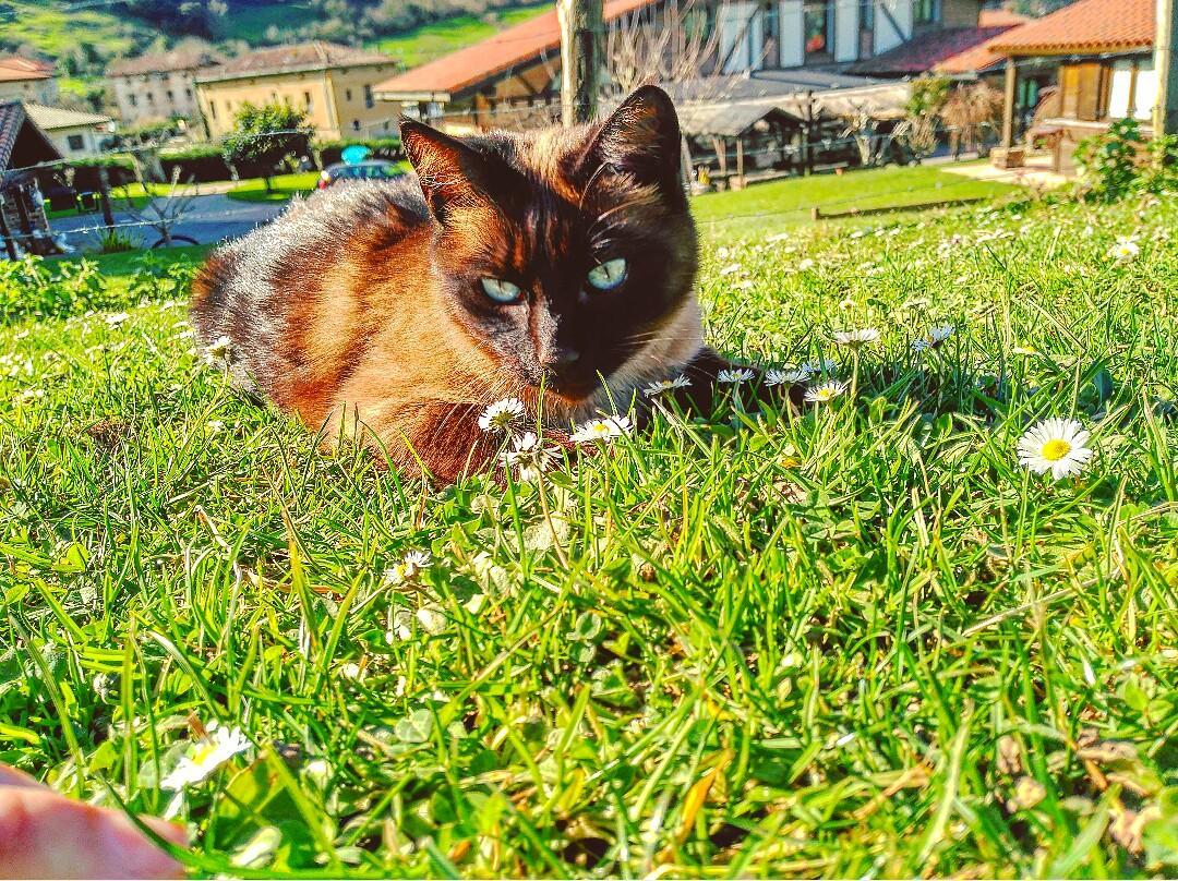 Lezamakoetxe Pension Sopuerta Buitenkant foto
